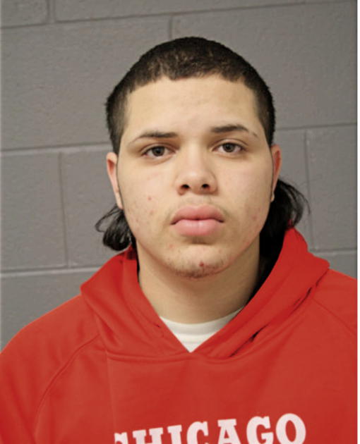 CARLOS A BANEGAS, Cook County, Illinois