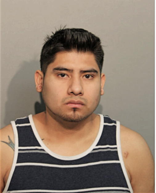 EDWIN E CELIS-LAUREANO, Cook County, Illinois
