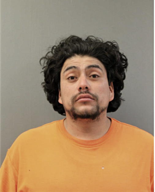 DANIEL CHAVEZ-COBIAN, Cook County, Illinois