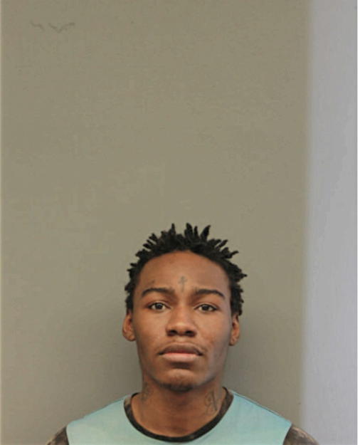 CHAVEZ COOK, Cook County, Illinois