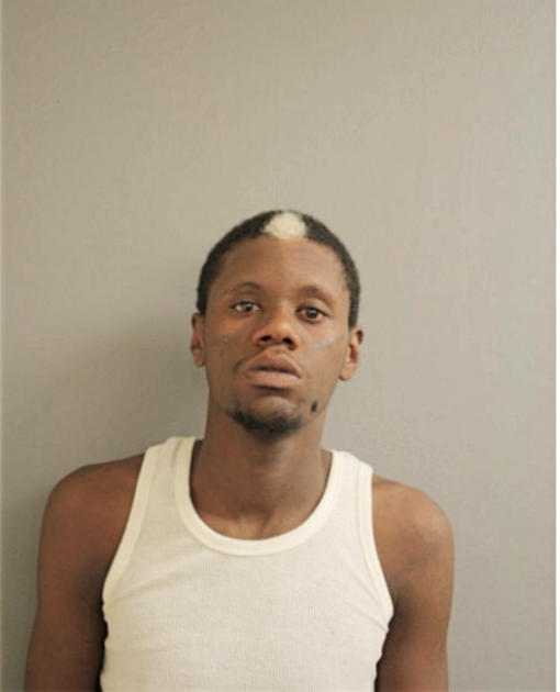 MATTHEW J DEAN, Cook County, Illinois