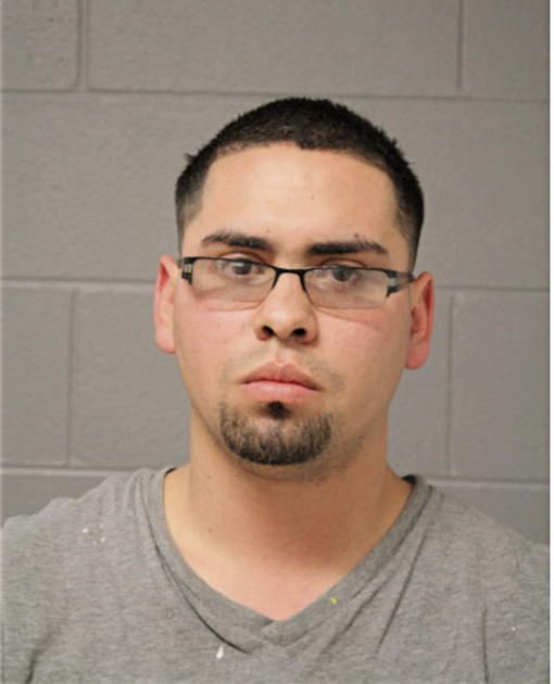 JUAN M DIAZ, Cook County, Illinois