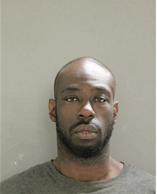 LEONARD L DORSETT, Cook County, Illinois