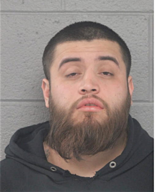 LUIS C DUARTE, Cook County, Illinois