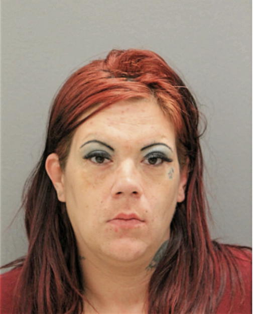 NINA C FOSS, Cook County, Illinois