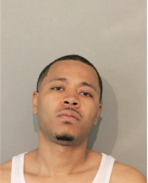 TERRANCE J GEORGE, Cook County, Illinois