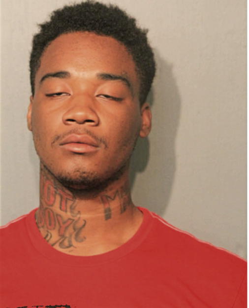 TANATHAN D HASAN, Cook County, Illinois