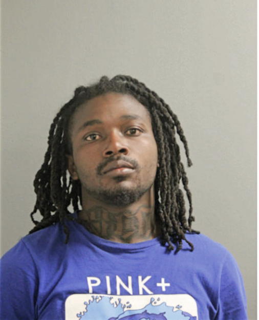 LASHAWN JOHNSON, Cook County, Illinois