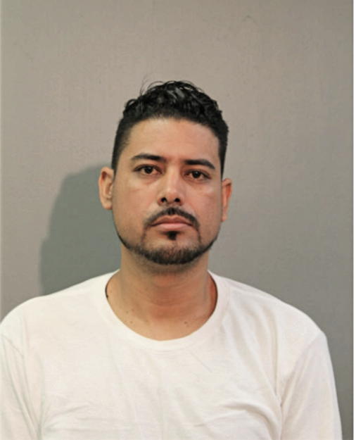 JESUS EDUARDO LARES, Cook County, Illinois