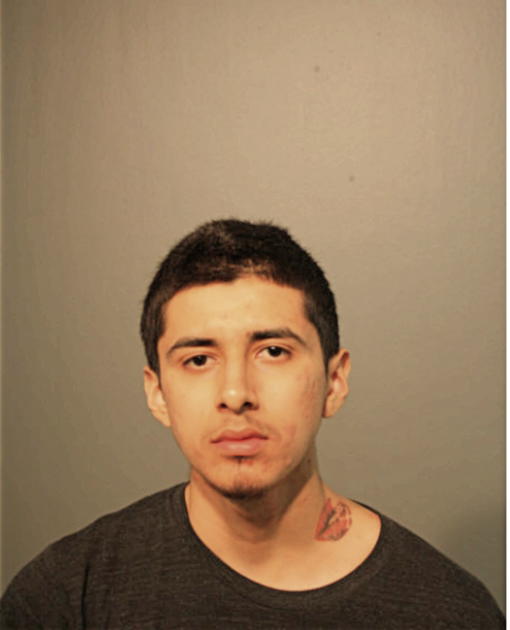 LUIS E MARQUINA, Cook County, Illinois