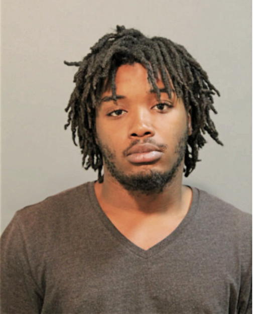 AARON B RICKS, Cook County, Illinois
