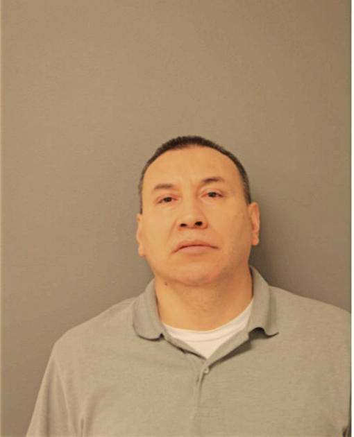 ABEL ROMAN, Cook County, Illinois
