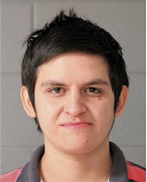 HORACIO GURROLA VEGA, Cook County, Illinois