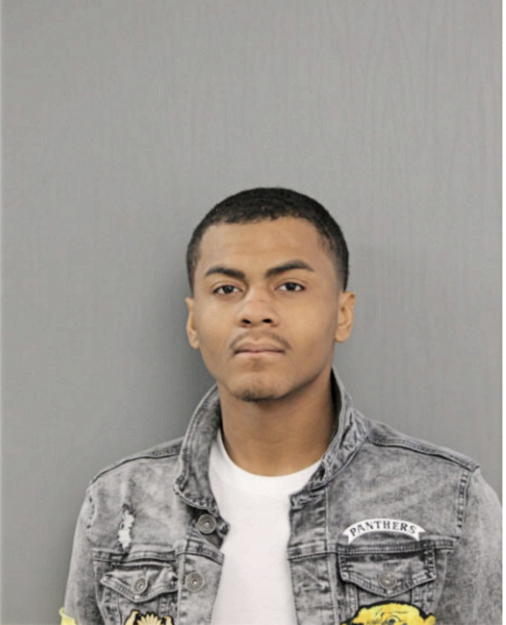 ANTHONY E WILSON, Cook County, Illinois