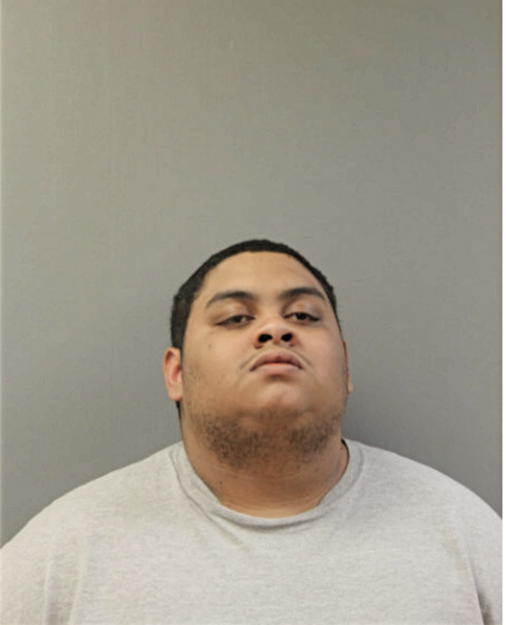 LUIS ALMEN, Cook County, Illinois