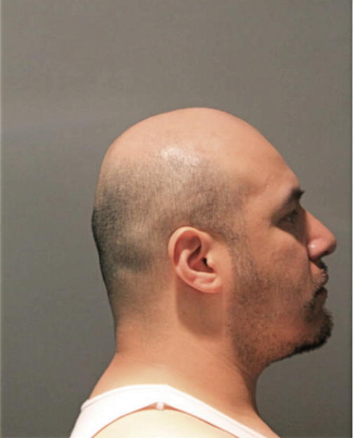 ANDRES ARROYO, Cook County, Illinois