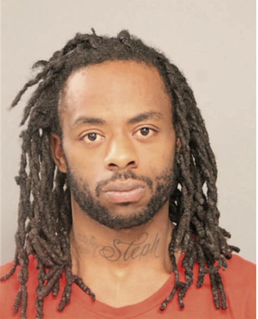 RYAN C COLLINS, Cook County, Illinois