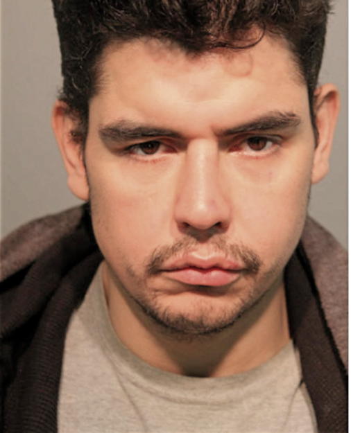 EDGAR D DELEON, Cook County, Illinois