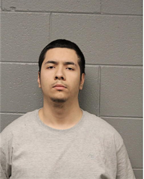 CARLOS GARCIA, Cook County, Illinois