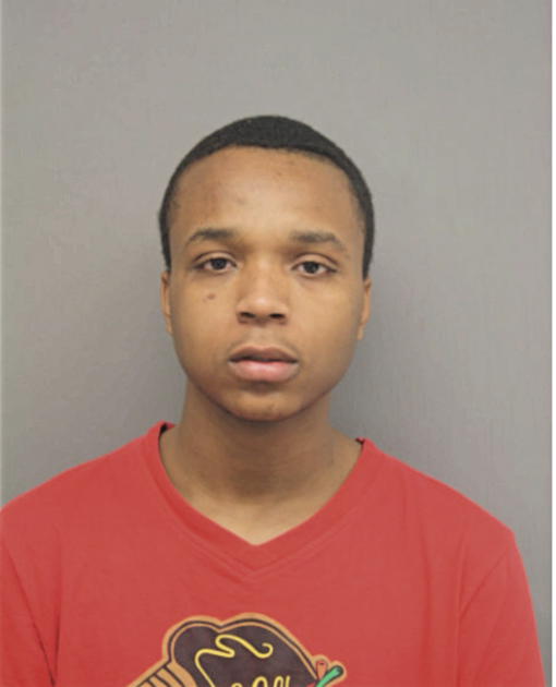 RONALD S GRIFFIN, Cook County, Illinois