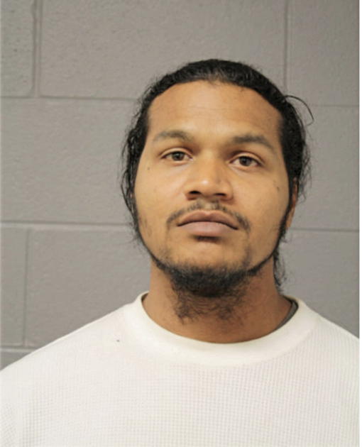 MICHAEL A HUBBARD, Cook County, Illinois
