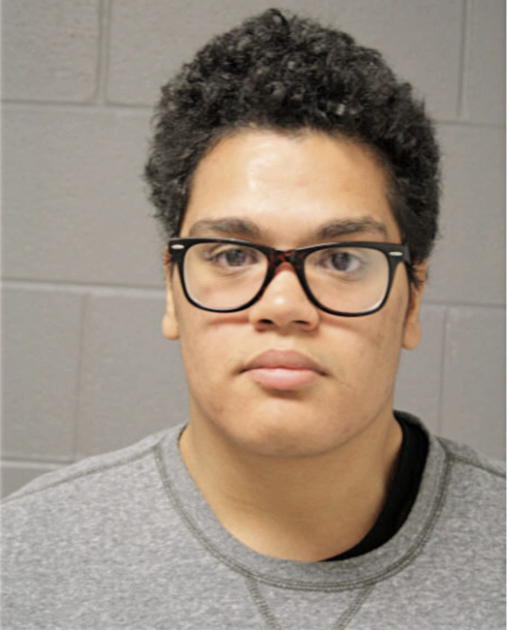 ANTHONY J LEDESMA, Cook County, Illinois