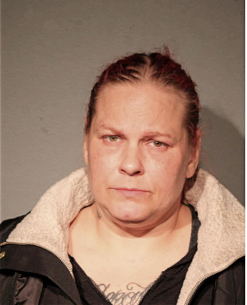 LISHA A LEWANDOWSKI, Cook County, Illinois