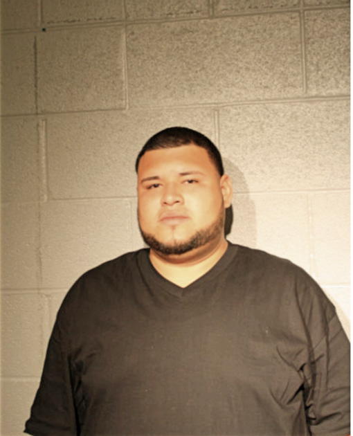 LUIS A LOPEZ, Cook County, Illinois