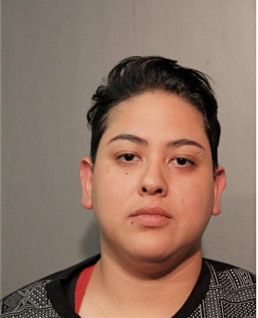 MARIA E LOPEZ VILLEGAS, Cook County, Illinois