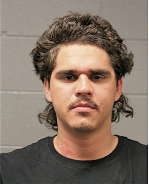 JUAN G MAGDALENO, Cook County, Illinois