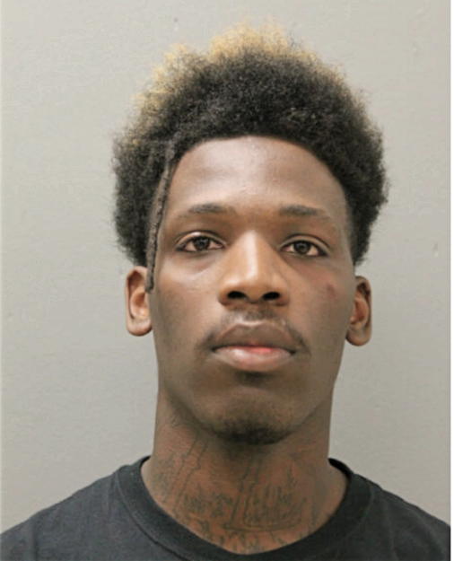 DARRELL J MCKINNEY, Cook County, Illinois