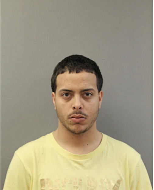 NEFTAL S MEDINA, Cook County, Illinois