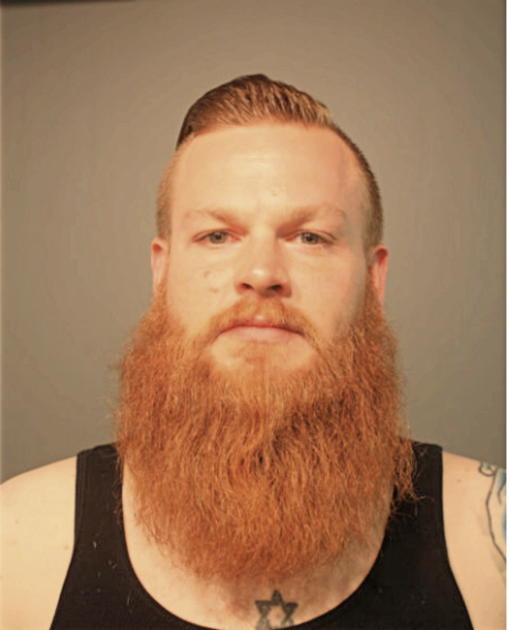 ADAM P REIMAN, Cook County, Illinois