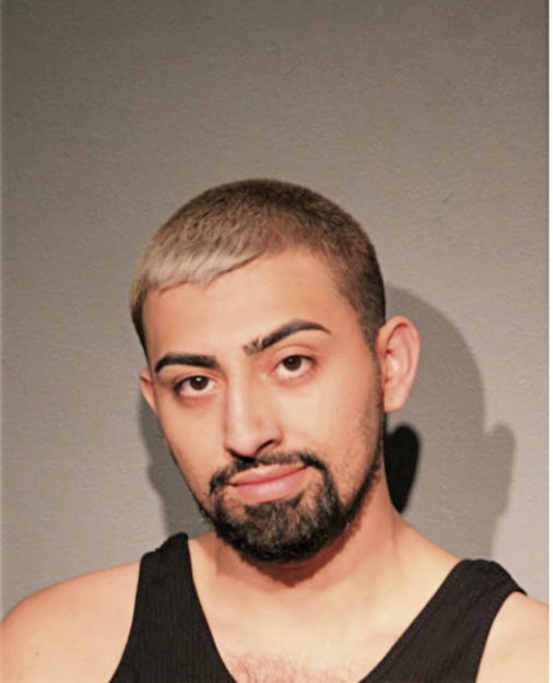 JOSE J ALVAREZ, Cook County, Illinois