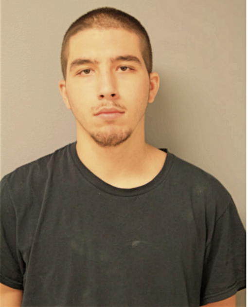 DANIEL ARIZZI, Cook County, Illinois