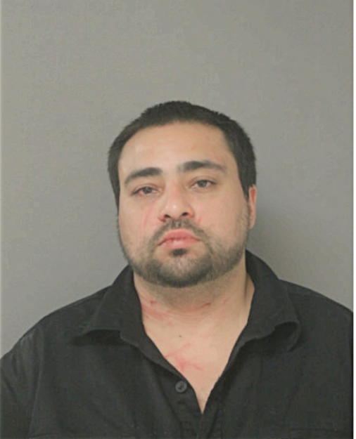 MICHAEL S BALZANO, Cook County, Illinois