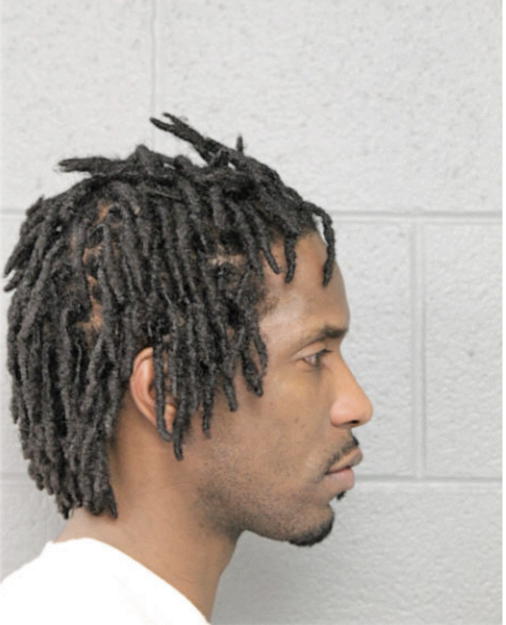 DARNELL A BRUNT, Cook County, Illinois