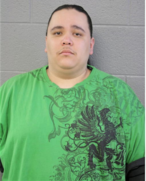 ERIC M CARMOLINGA, Cook County, Illinois