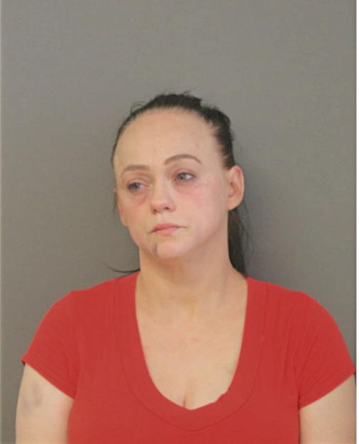 SHAWNA L DELISLE, Cook County, Illinois