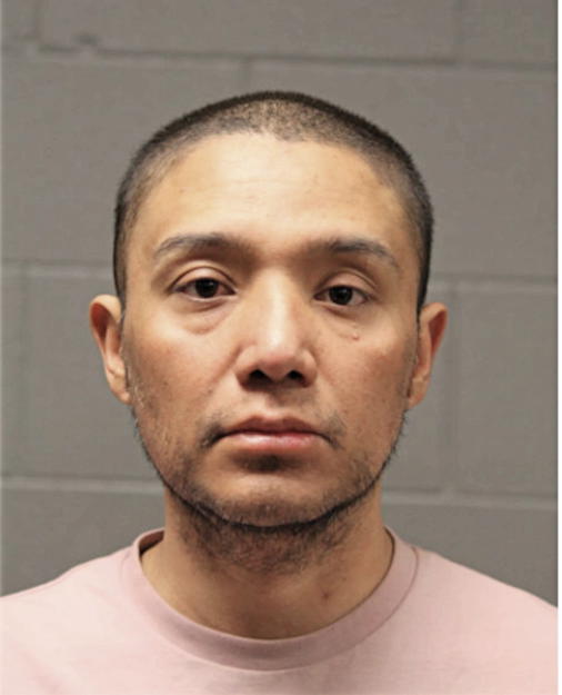 EDGAR PANTOJA ENRIQUEZ, Cook County, Illinois