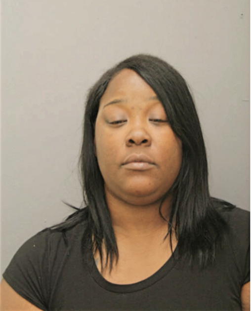 LANIQUE FORD, Cook County, Illinois