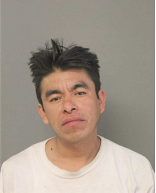NELSON GARCIA, Cook County, Illinois