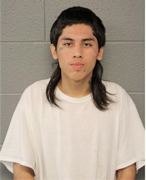 JONATHAN GONZALEZ, Cook County, Illinois