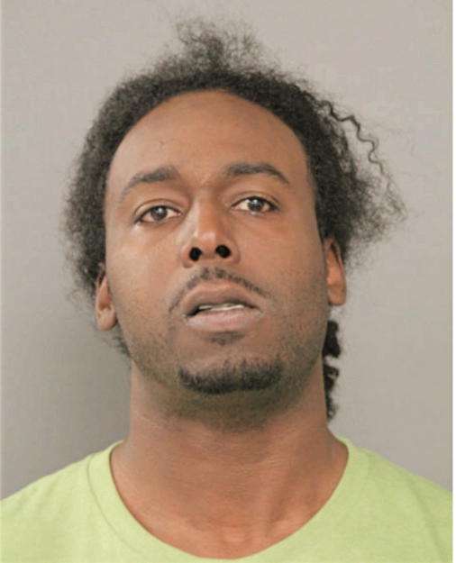 DOYLE O JOHNSON-ADEFUMI, Cook County, Illinois