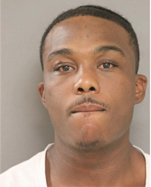 ROBERT L JOHNSON, Cook County, Illinois