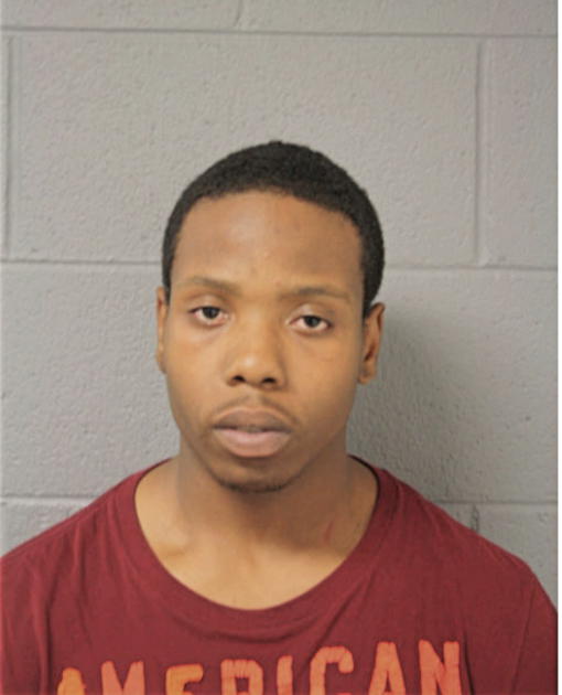 DAVID D LAKE JR, Cook County, Illinois