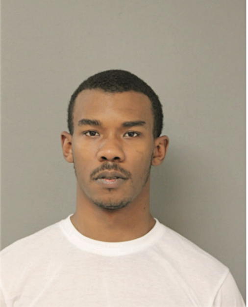CARL L LANGS, Cook County, Illinois