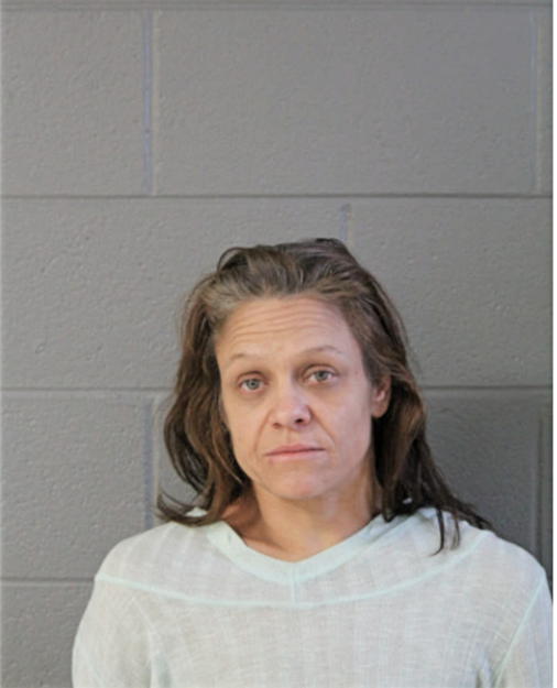 KAREN L LEONE, Cook County, Illinois