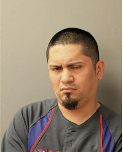 EFREN S MARTINEZ, Cook County, Illinois