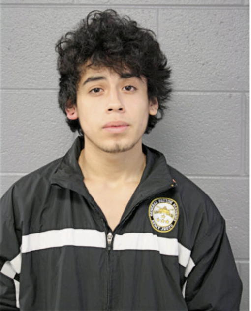 LEONEL H MARTINEZ, Cook County, Illinois